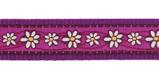 Daisy Chain Purple rozmiar S - kolorowa obroża dla psa