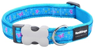 Breezy Butterfly Turquoise rozmiar L - kolorowa obroża dla psa