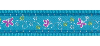 Breezy Butterfly Turquoise rozmiar S - kolorowa obroża dla psa