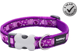 Breezy Love Purple rozmiar S - kolorowa obroża dla psa