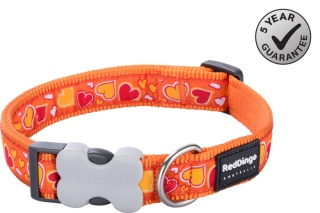 Breezy Love Orange rozmiar S - kolorowa obroża dla psa