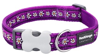 Daisy Chain Purple rozmiar M - kolorowa obroża dla psa