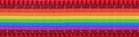 Design Rainbow Red rozmiar M - klasyczna smycz o długości 1,2m