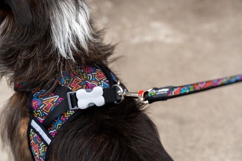 Red Dingo Mesh Harness - lekkie szelki dla psa rozmiar L - Squiggles