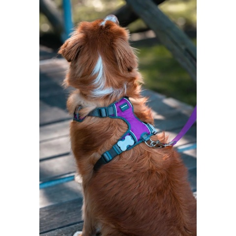 Red Dingo Padded Harness rozmiar XS - szelki typu Guard z podszyciem