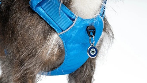 Red Dingo Sport Harness rozmiar S - lekkie szelki dla psa typu Guard - kolor niebieski