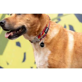 ID Tag z grawerem Tag Boss Dark Blue - rozmiar S