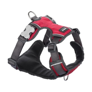 Red Dingo Padded Harness rozmiar L - szelki typu Guard z podszyciem