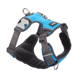 Red Dingo Padded Harness rozmiar M - szelki typu Guard z podszyciem