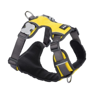 Red Dingo Padded Harness rozmiar M - szelki typu Guard z podszyciem